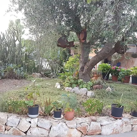 Trullo Amico *